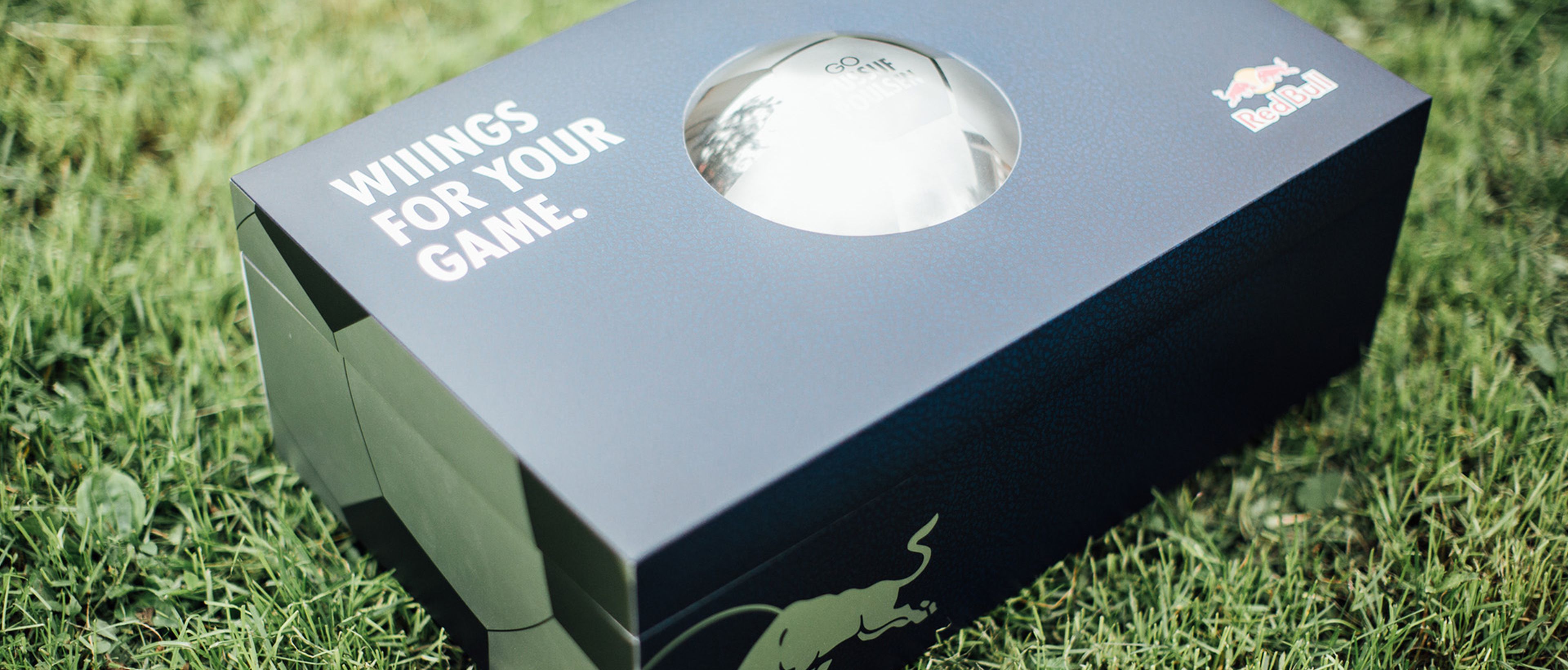 Red Bull Box mit aufschrift "Wiiings for your game"