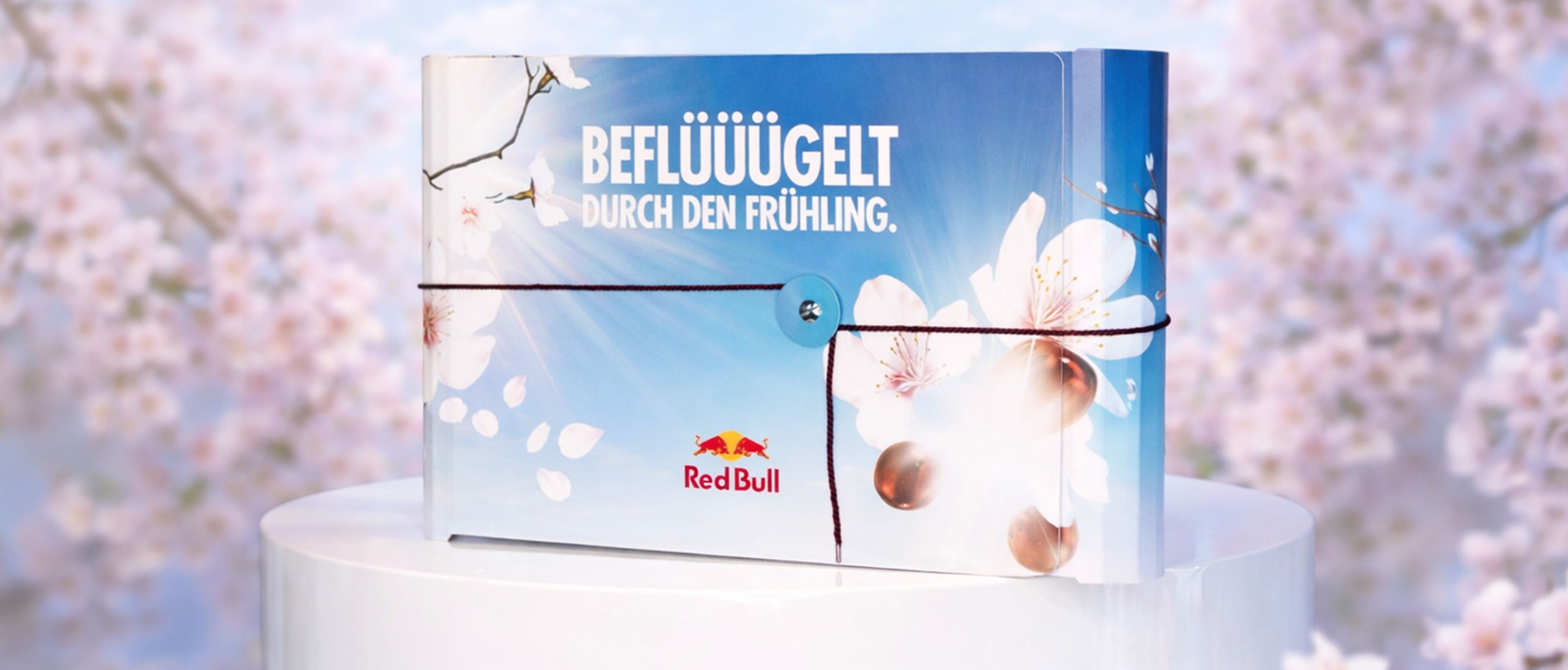 Red Bull Spring Edition 2026 Kit